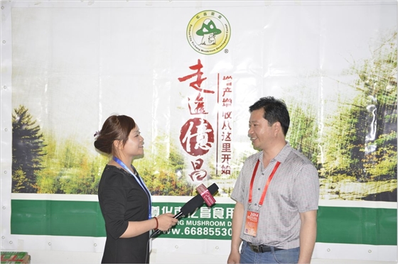 2014.05.11郑州会议期间：中国食用菌商务网记着采访亿昌菌业张东平-亿昌菌业.JPG