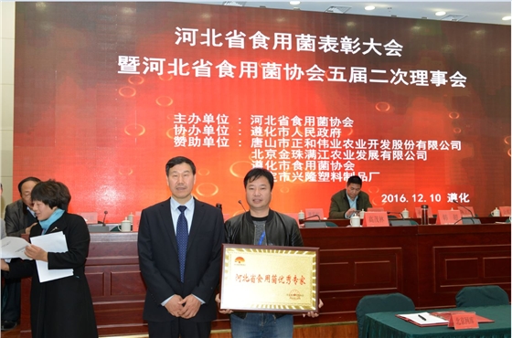 河北省食用菌协会会长孙利英（左）为张东平颁发&ldquo;河北省食用菌优秀专家&rdquo;荣誉牌匾.JPG（截屏）.JPG