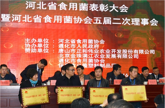 2016.12.10&ldquo;亿昌菌业&rdquo;被授予&ldquo;河北省食用菌优秀（特色）品牌&rdquo;荣誉称号，张东平（左三）接授截屏.jpg