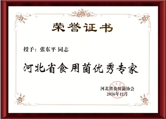 2016河北省食用菌优秀专家-亿昌菌业（截屏）.jpg