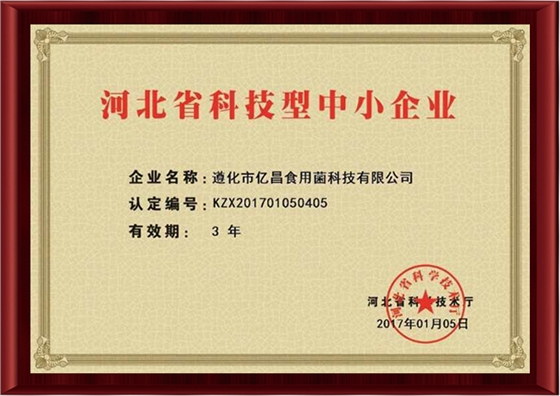 亿昌菌业-河北省科技型中小企业2017.01.05.jpg