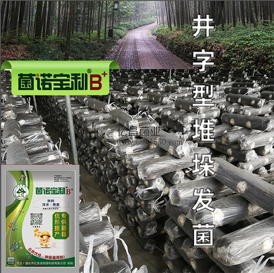 亿昌菌业-菌诺宝利B+（网页-13）井字形堆垛发菌