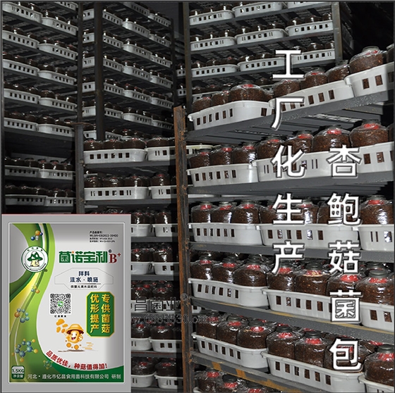 亿昌菌业-菌诺宝利B+（网页-27）工厂化栽培杏鲍菇菌包