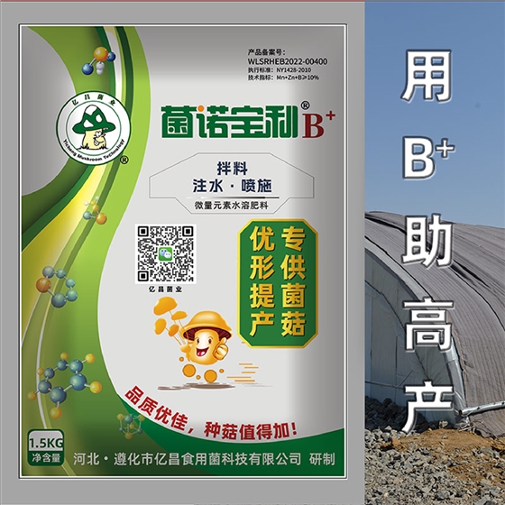 亿昌菌业-菌诺宝利B+（网页-42）用B+好高产