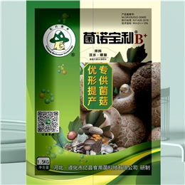 菌诺宝利B+