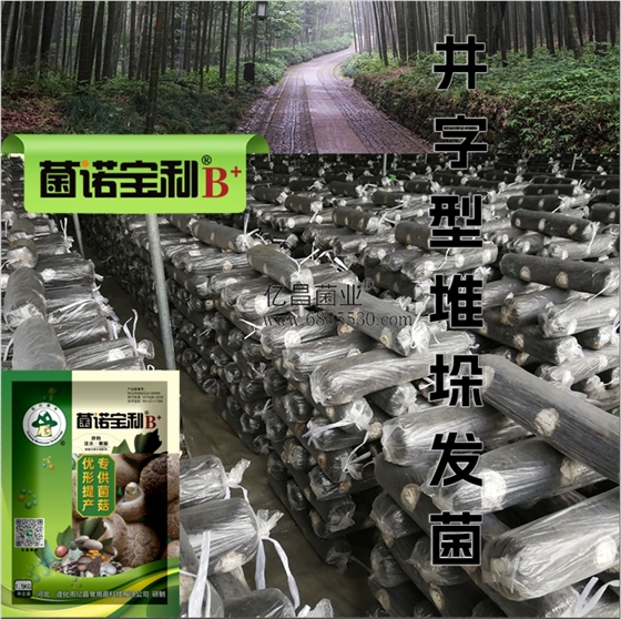 菌诺宝利B+（网页-13）井字形堆垛发菌