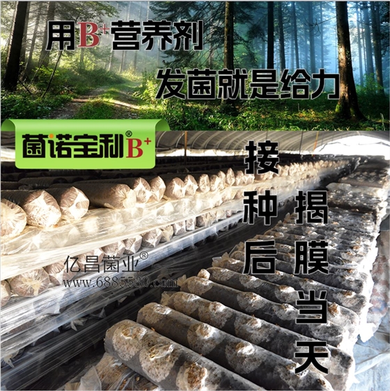 菌诺宝利B+（网页-14）添加B+营养剂，发菌就是给力