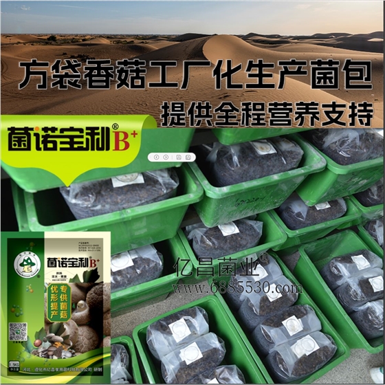 菌诺宝利B+（网页-20）方袋香菇工厂化生产菌包，提供全程营养支持
