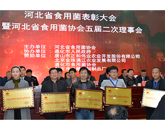 遵化市亿昌食用菌科技有限公司被授予“河北省食用菌产业扶贫突出贡献单位”荣誉，张东平（中）接授牌匾