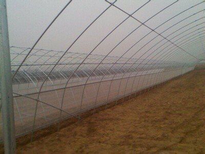 GB 12728—91** 食用菌术语—亿昌菌业 GB 12728—91** 食用菌术语—亿昌菌业