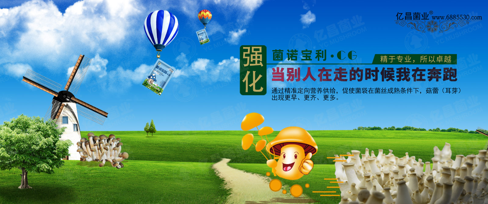 亿昌催菇王——强劲催菇引擎，诱发大量菇蕾（耳芽）形成