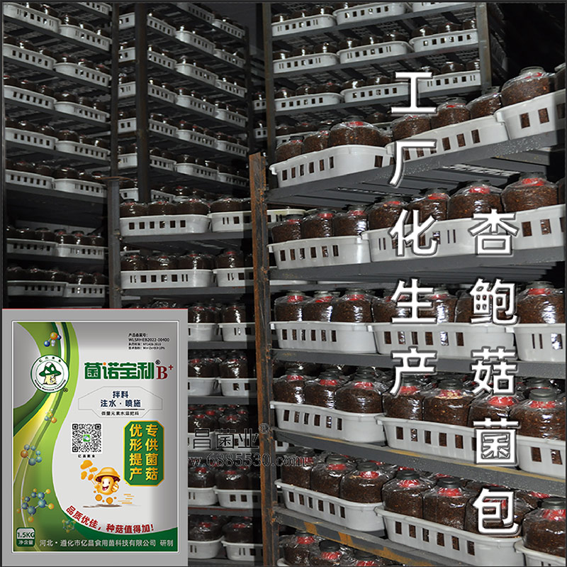 亿昌菌业-菌诺宝利B+（网页-27）工厂化栽培杏鲍菇菌包
