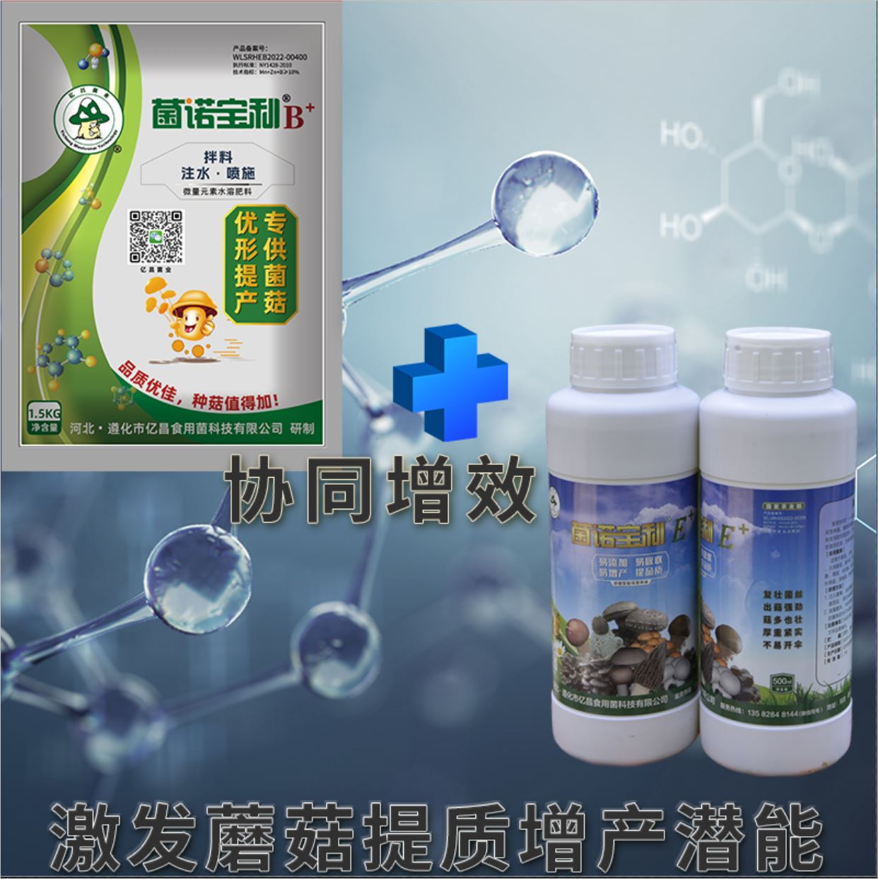 亿昌菌业-菌诺宝利E+（网页-8）黄金搭档，创造蘑菇提质增产的奇迹